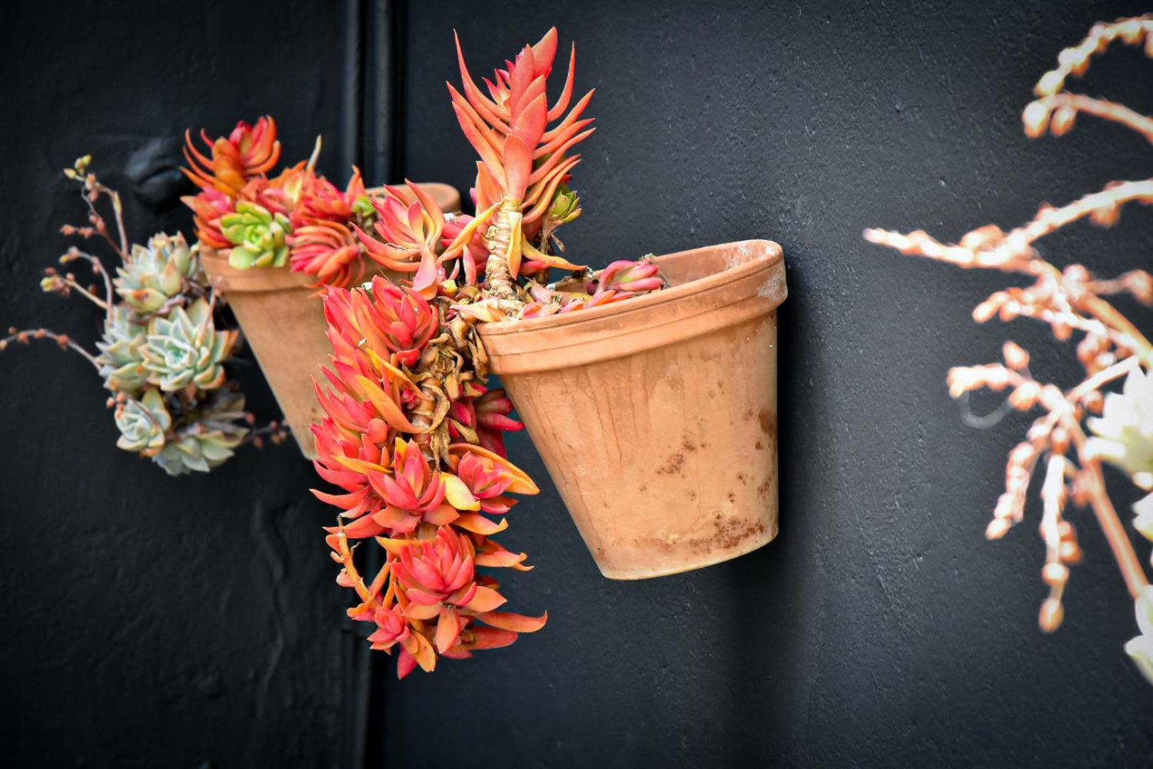Beautiful Betty Guesthouse Beaufort West Luaran gambar